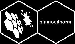 plamoodporna